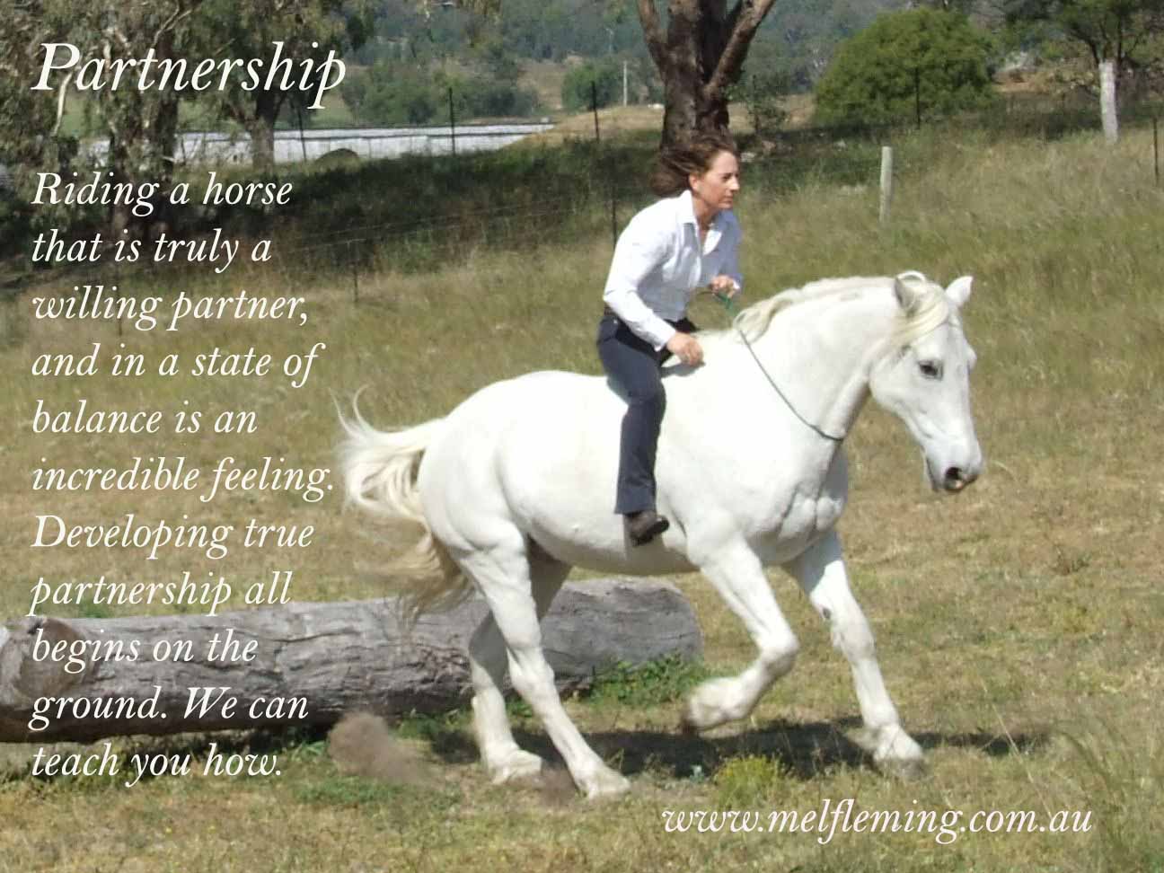 Immerse yourself – 3 & 6 week Modules – Realize the Magic of Horses & Realize the Magic of Yourself !!!!