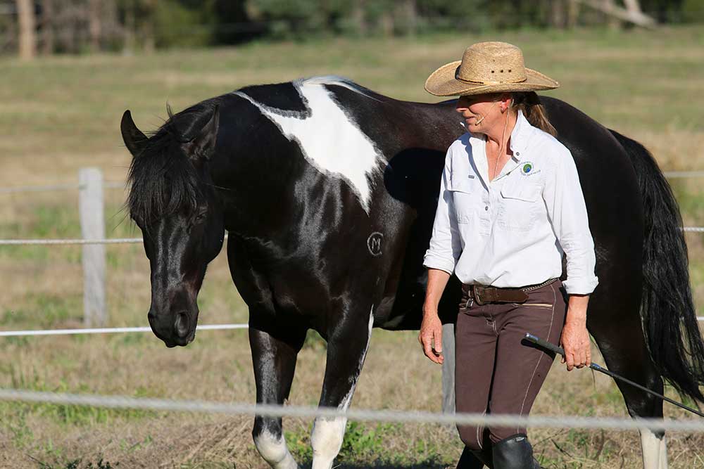 Liberating with Liberty, Positive Reinforcement, Postural Development – on the ground and in the saddle – Macksville, NSW – Aug 4-6