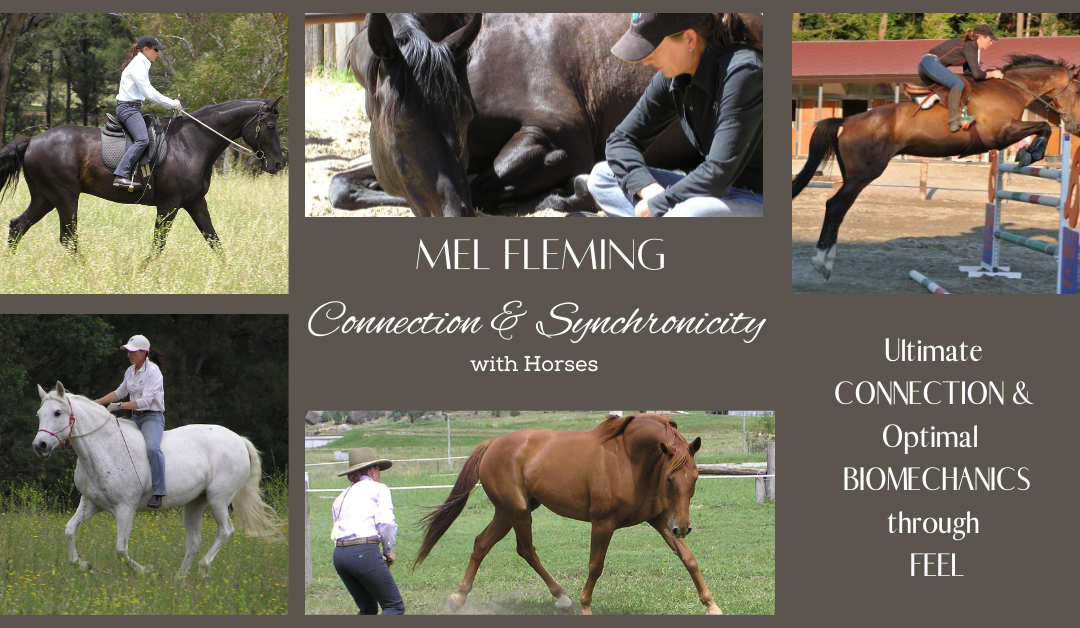 Glenorie, NSW -Foundation Course, Connecting, Feel and Biomechanics – March 16-18