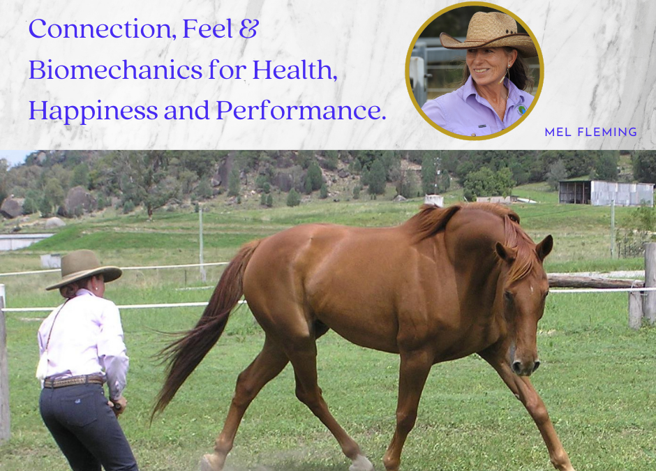 CONNECTION, FEEL & POSTURAL DEVELOPMENT GROUNDWORK THERAPY Part 1 – Yackandandah, VIC