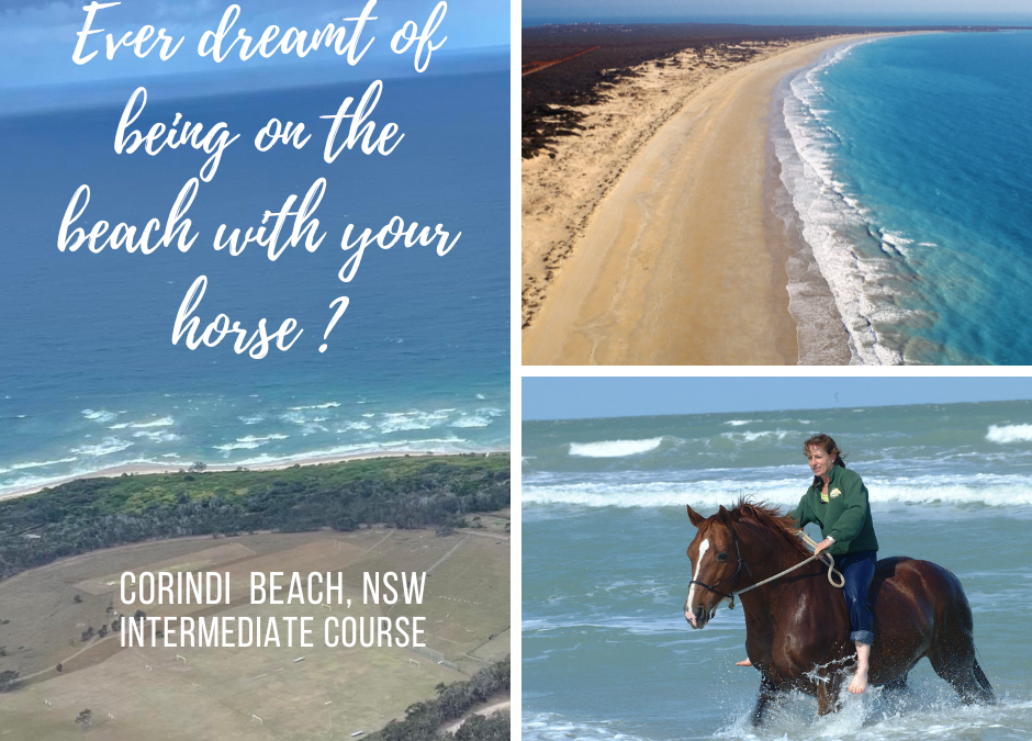 Intermediate Course – Beach Camp – Corindi Beach, NSW – March 1-3