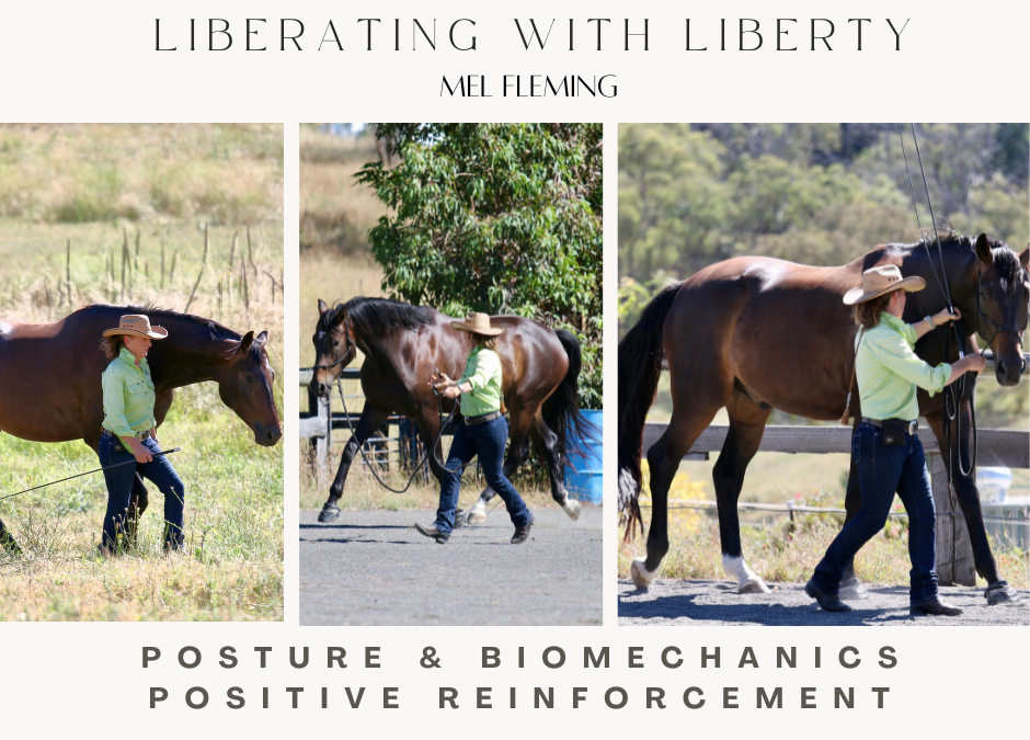 Liberating with Liberty, Positive Reinforcement & Marker Training, Postural Development for Optimal Biomechanics Part 2 – Glenorie, NSW – Jan 19-21