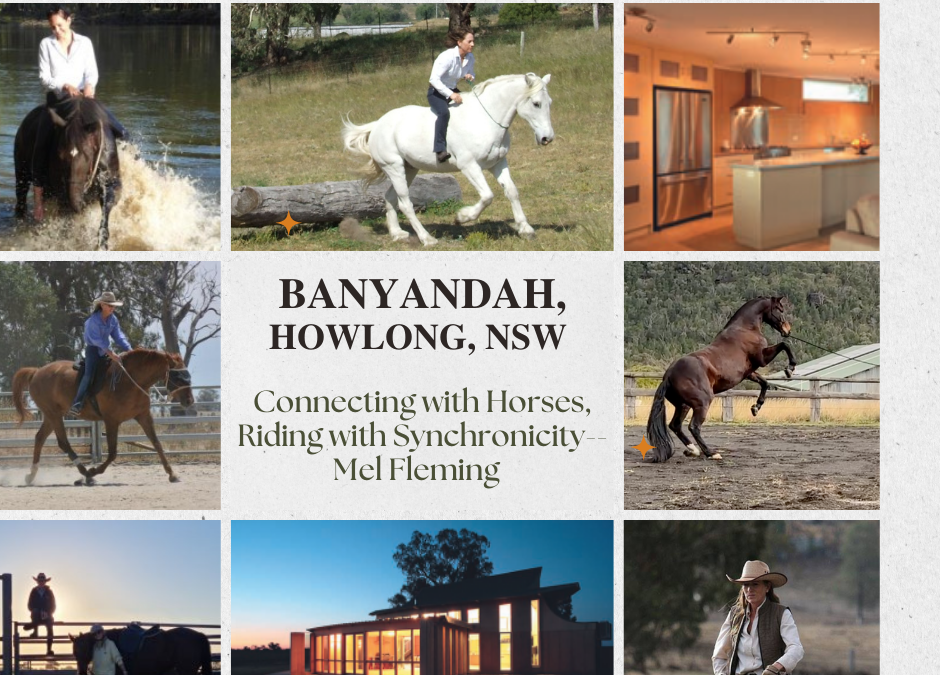 Banyandah Venue and Courses