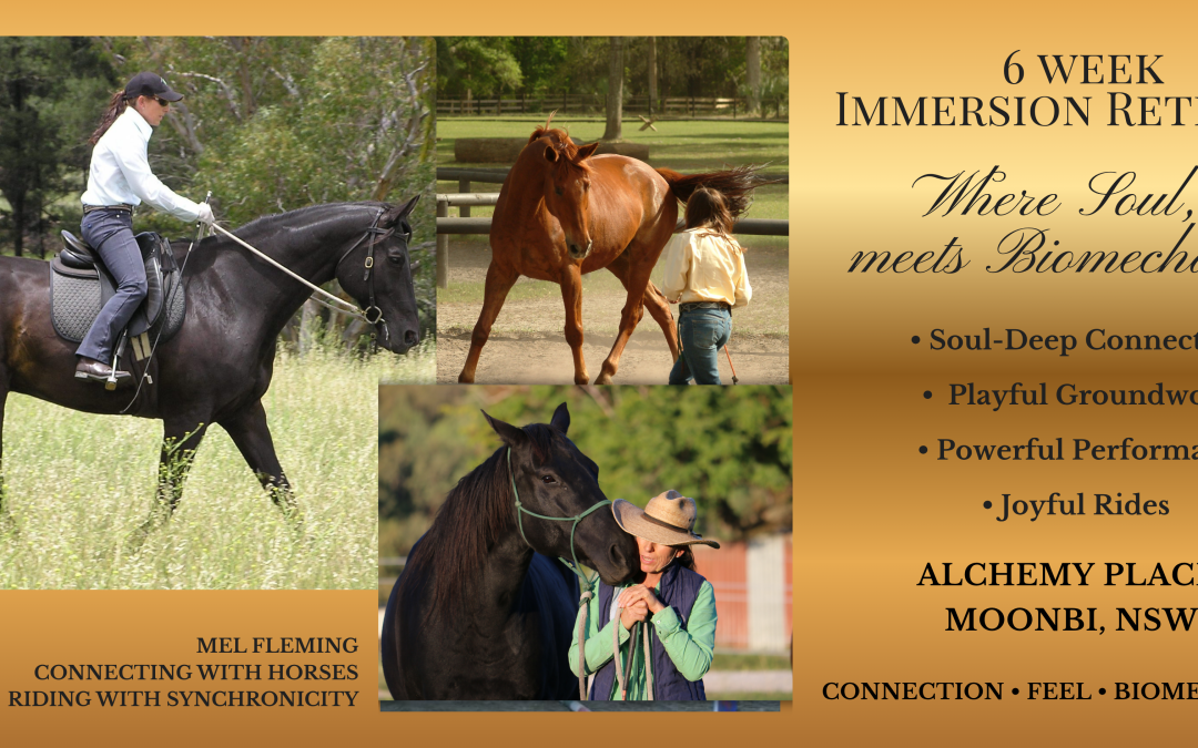 6 week Immersion Retreat – ‘Alchemy Place’ Moonbi, NSW – Sept/Oct   2026
